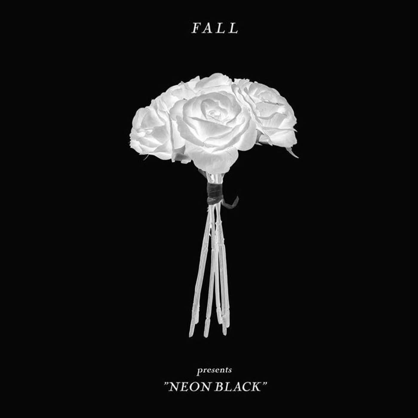 fall