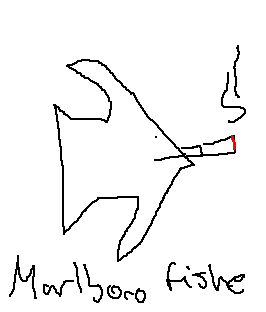 drawing