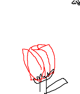 drawing