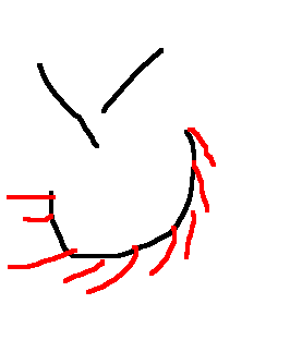 drawing